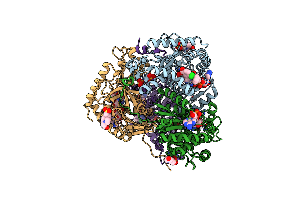 4M49 image