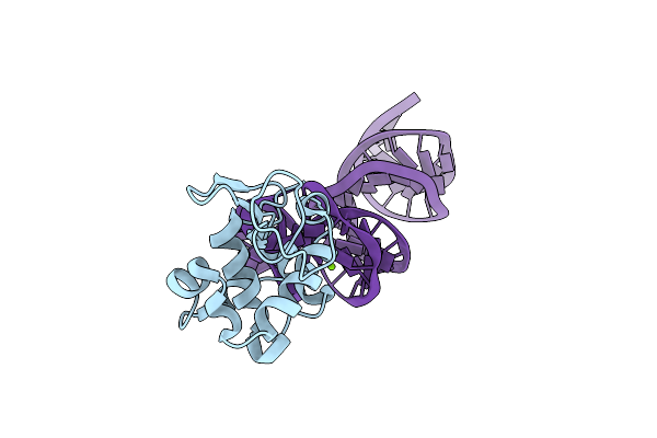 4M4O image