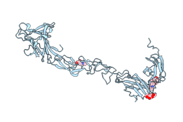 4M4P image