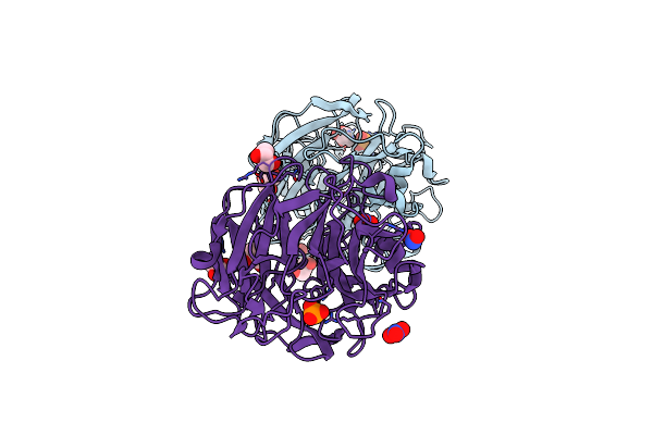 4M4U image
