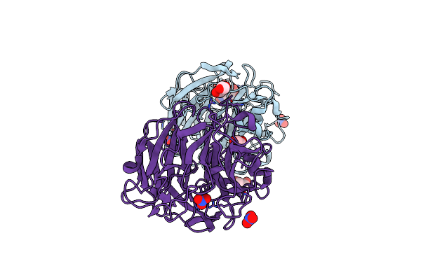 4M4V image