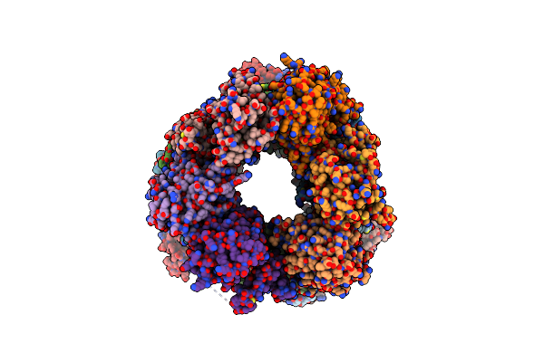 4M4W image