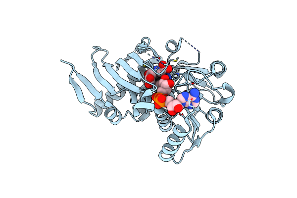 4M54 image