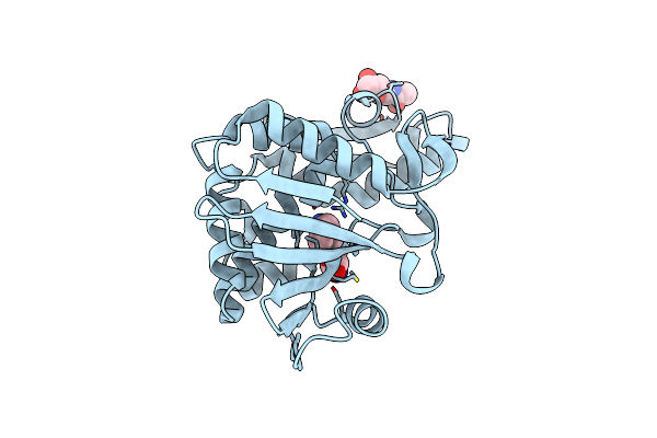 4M5A image