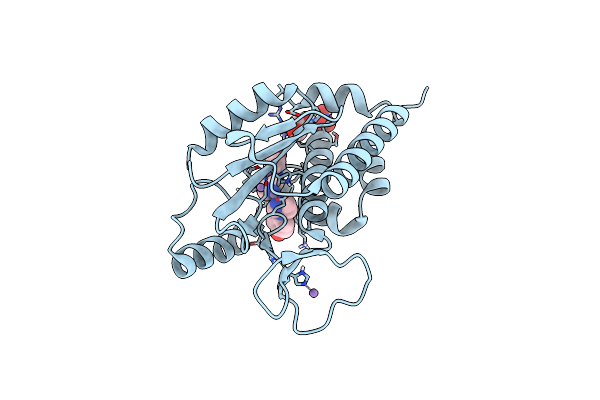 4M5R image