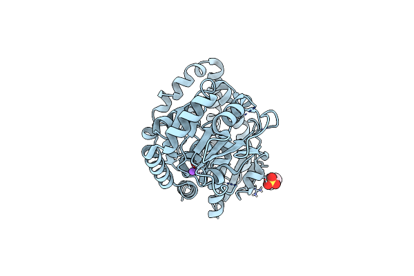 4M60 image