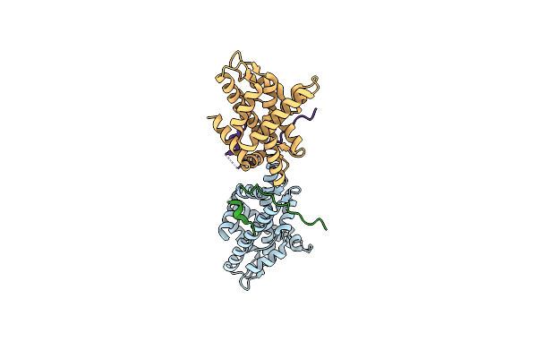 4M6B image
