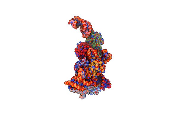 4M6D image