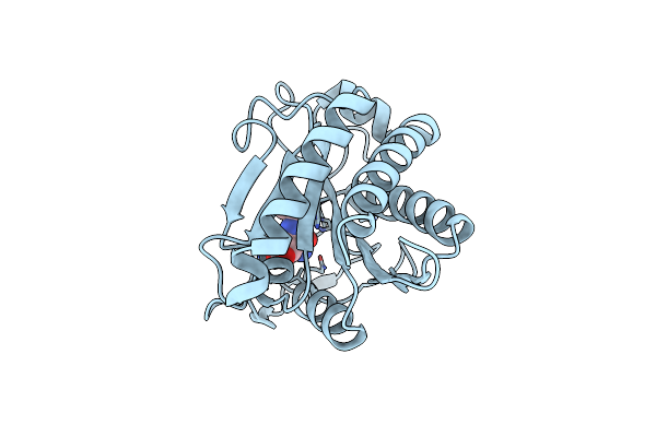 4M6G image