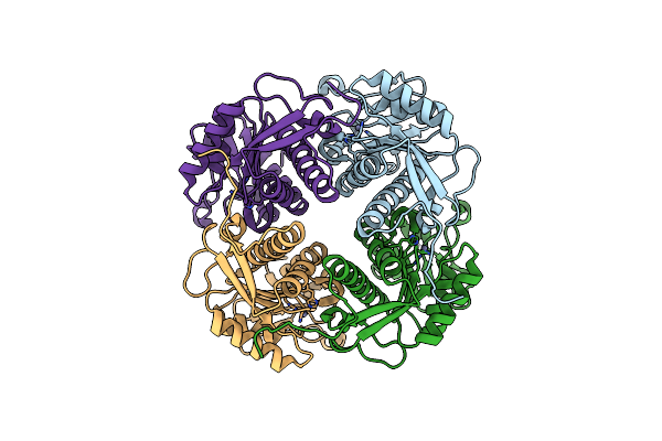 4M6R image