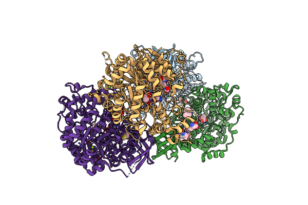 4M6V image
