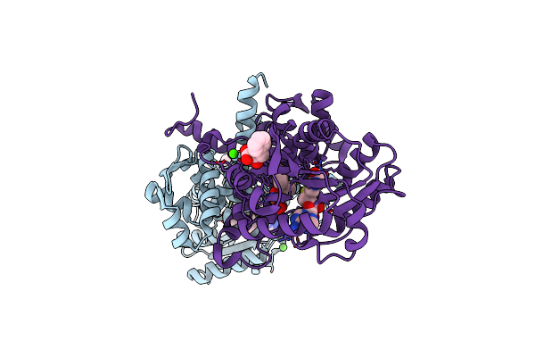 4M6Y image