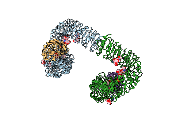 4M7E image
