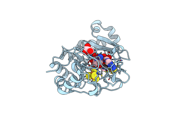 4M7T image