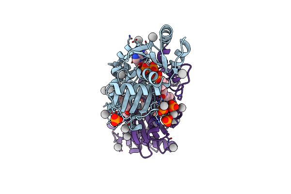 4M7Y image