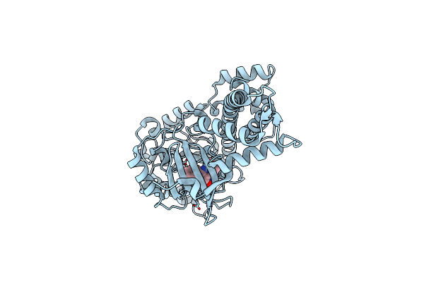4M84 image