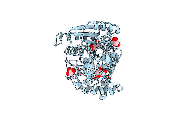 4M88 image