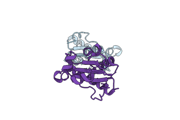 4M8G image
