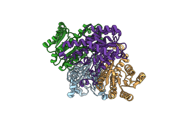 4M8S image