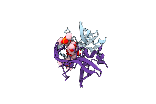 4M8X image
