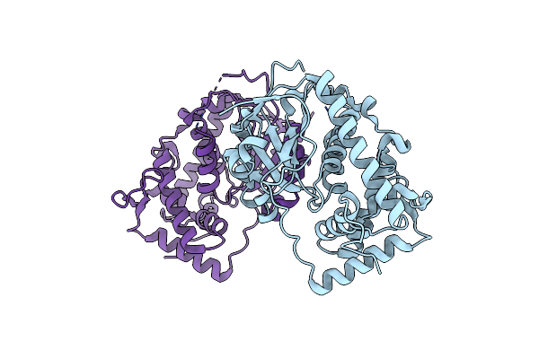 4M8Z image