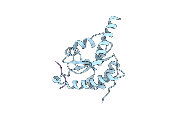 4M91 image