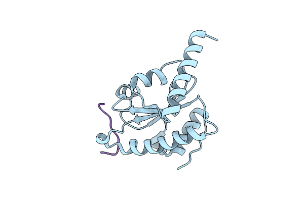 4M92 image