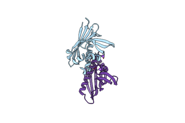 4M9B image