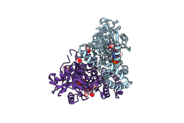 4M9D image