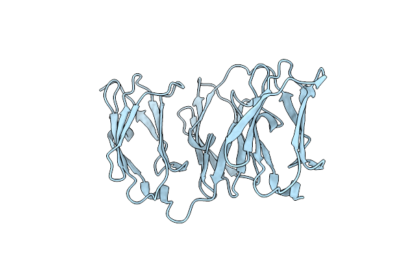 4M9P image