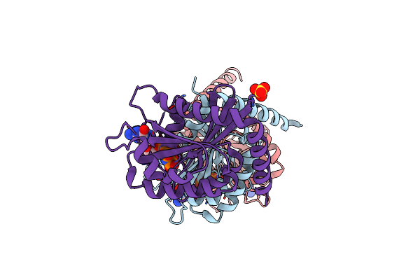 4M9Q image
