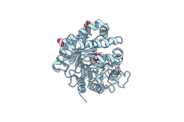 4MAV image