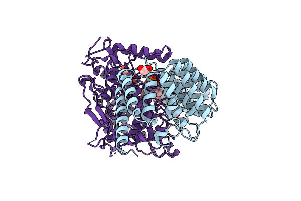 4MBG image