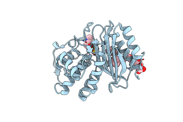 4MBH image