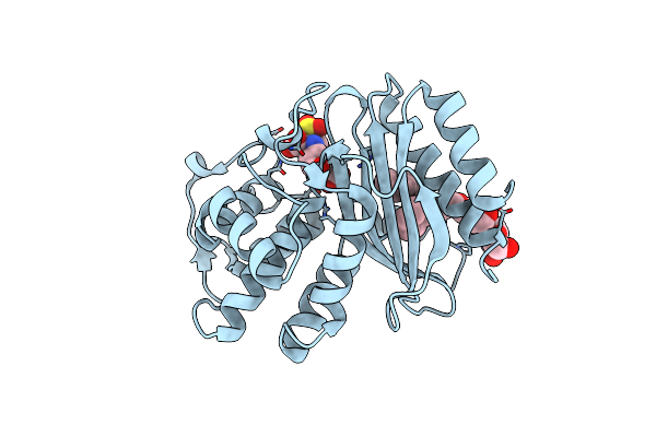 4MBK image