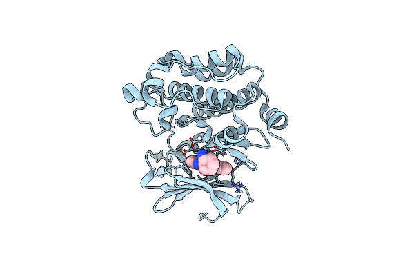 4MBL image