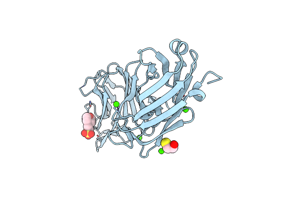 4MBO image