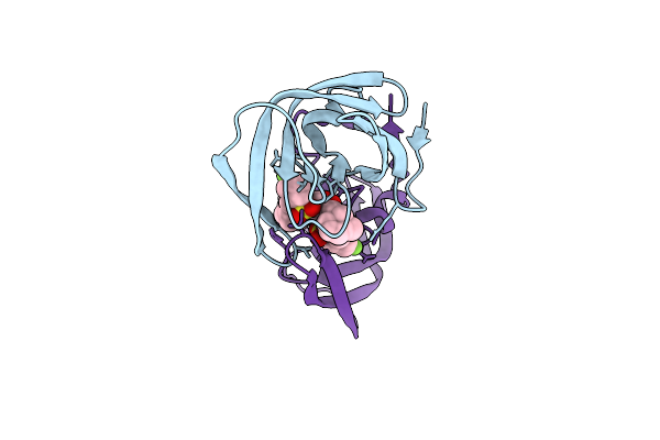 4MC2 image
