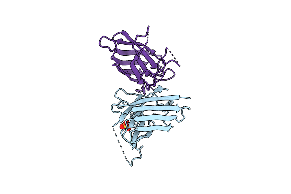 4MCN image