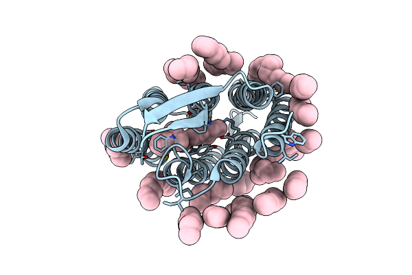 4MD2 image