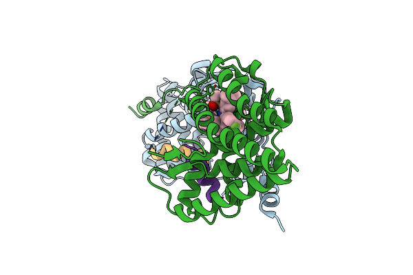 4MDD image