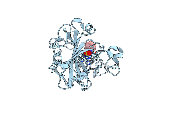 4MDG image
