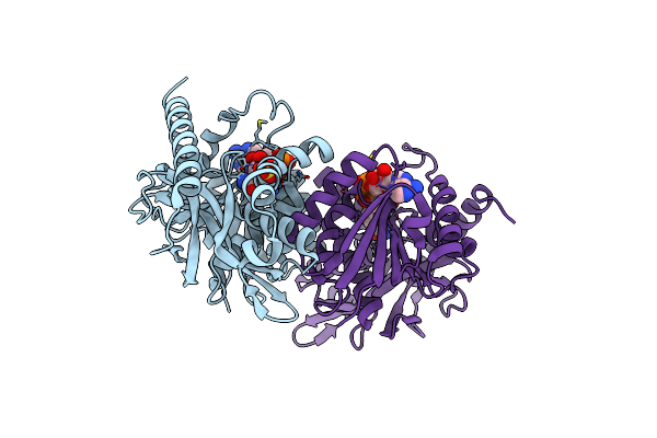 4MDH image