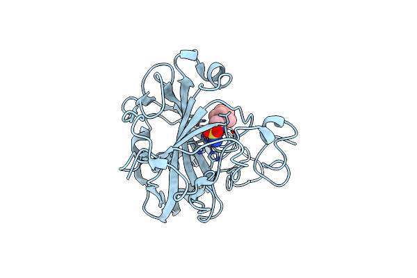 4MDM image