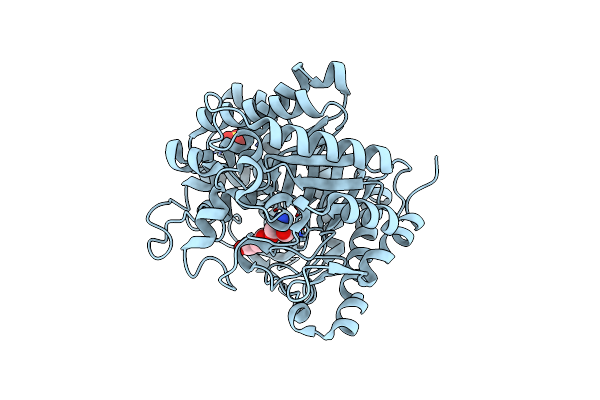 4MDO image