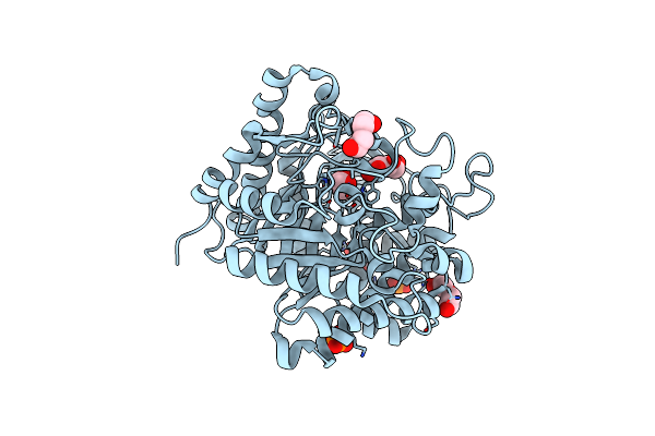 4MDP image