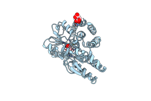 4MEV image