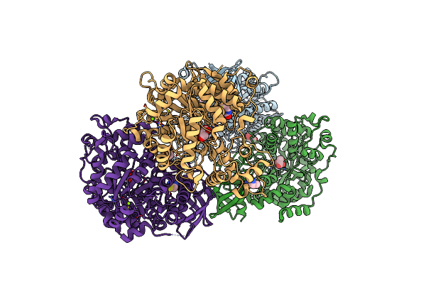4MFE image