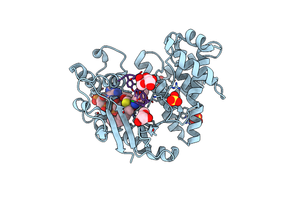 4MFL image