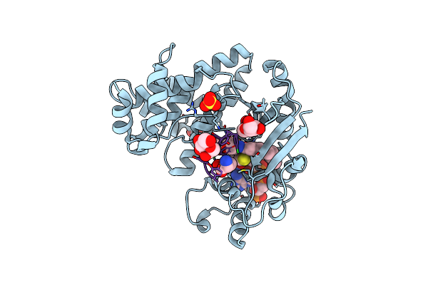 4MFQ image